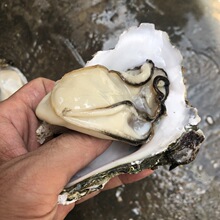 ̨ɽ���r�������տ���r��rˮ�a����ĵϠ�ޟo���ش��F؛���l