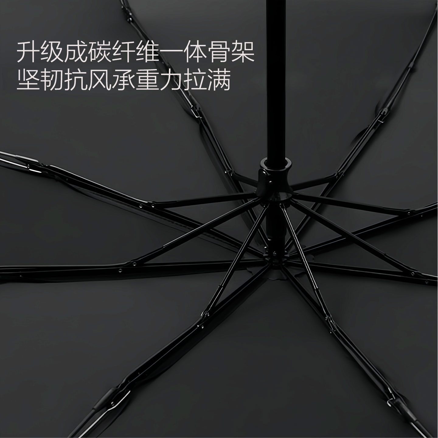 ̼��ά��ɡ�Ӵ����۳����۵�ɡ�ڽ�8�ǿ�����Ů��ó�¿��Я��ɡ