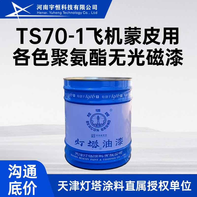 TS70-1飞机蒙皮用聚氨酯无光磁漆 灯塔油漆 飞机迷彩伪装及防护