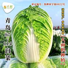 zݴײ˷NӴeNֲƷNﲥɽ|ײ˷Nݸ߮a߲