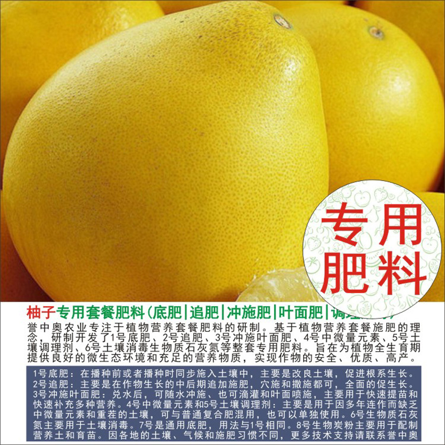 50�����а���������ר���л��ʸ��Ϸʵ׷�׷��Ҷ��ʳ�ʩ��ˮ��