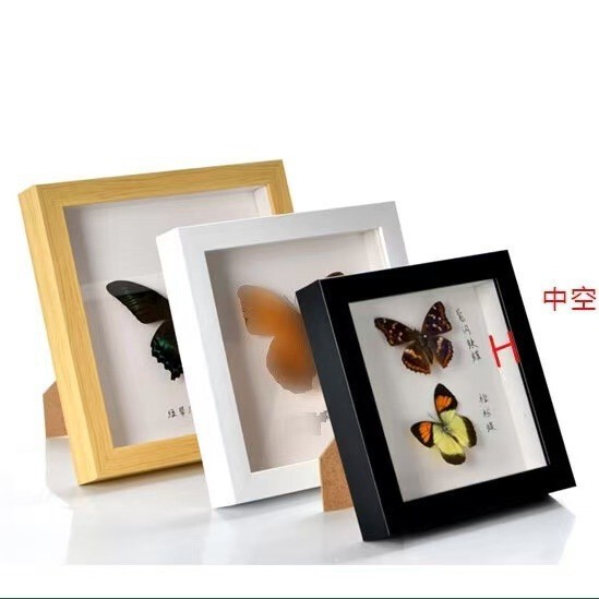 Oil Painting Photo Frame Diamond Painting Handmade DIY Clay Hollow 2.0cm Fan Shell Plant Insect Specimen Square