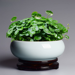 �Ї��Lˮ�ɻ����մɄ����~�X��ˮ����Â��Դ�̖ˮ�B˯ɏ�A�λ��P