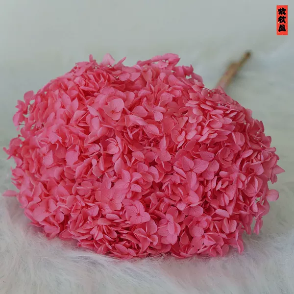 Rose powder/support