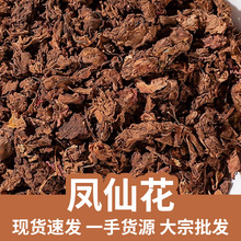 �P�ɻ� ɢ�b���|�P�ɻ�ָ�׻��P�ɻ��� ��؛�o�� �F؛���l