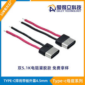 TYPE-C带板母座双5.1k type-c连接器防水焊线母座灌胶款USB母头