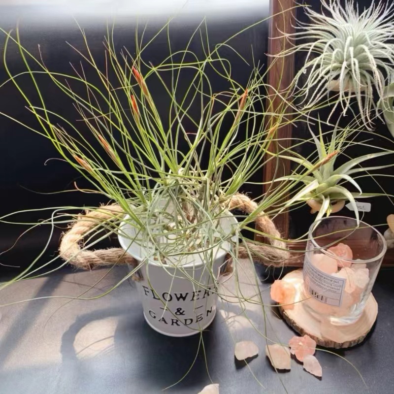 微信图片_20240426123951