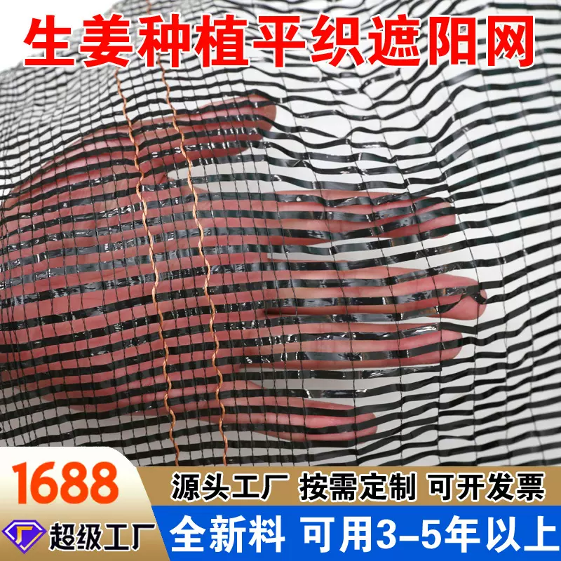 生姜黑色遮阳网抗老化平针加厚质保防晒网大棚果树遮光网批发