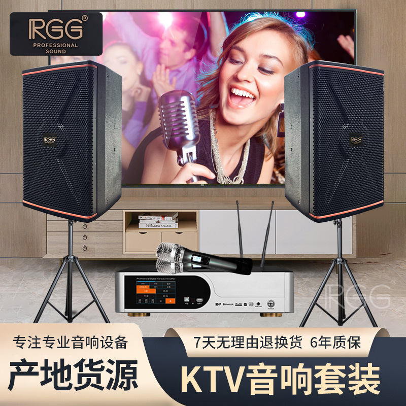 Sistema de karaoke RGG para el hogar, juego de altavoces de karaoke de 10 y 12 pulgadas, juego completo