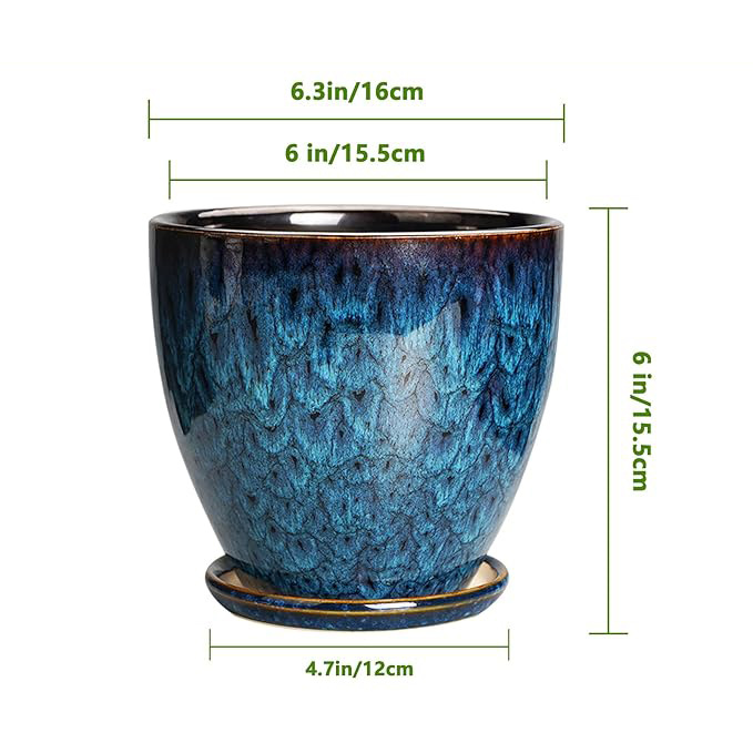 horno azul de cerámica mariposa orquídea verde plantación doméstica gran maceta decoración para el hogar con bandeja Amazon