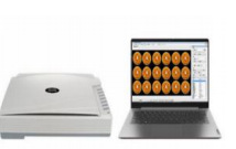 LGG-B瓜果剖切面、瓤色 图像分析仪