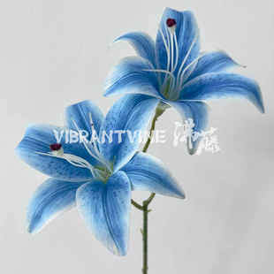 �{ɫ���滨��c�b��������Y��ӭ�e��������õ��·���F���{�ٻ�