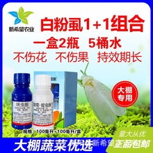 ׷ʭÚx1+1M ߲˷x+߻xxș