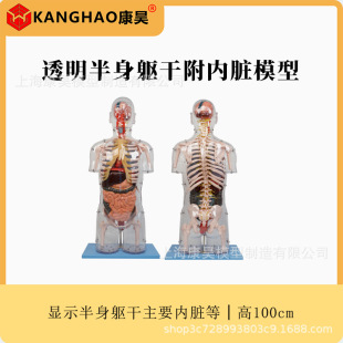 ͸�������|�ɸ����Kģ�����w�|�Ƀ��K���ٹ����Y������ģ��