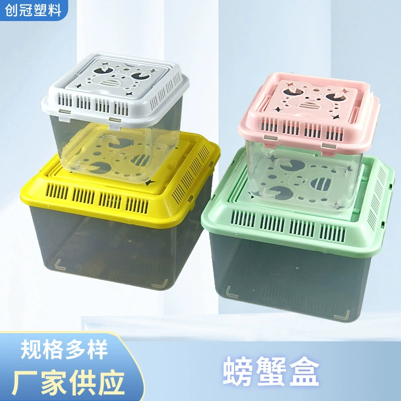 Домашняя маленькая коробка для разведения крабов