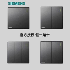 [Official] Siemens switch socket Jingyi dark gray silver one-open with fluorescent five-hole panel package
