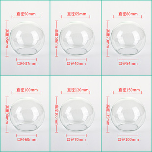 Manufacturers Supply IMMortal Flower Glass Ball Cover High Borosilicate Glass Spherical Glass Lampshade Diameter 74MM