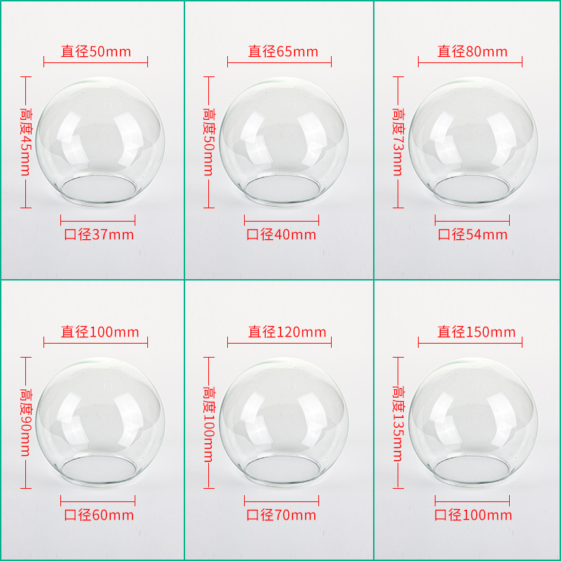 Manufacturers Supply IMMortal Flower Glass Ball Cover High Borosilicate Glass Spherical Glass Lampshade Diameter 74MM