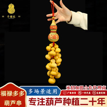 ������മ���J�Ҿӿ͏d�T���T���P����S�Ұ��]���J������