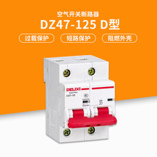 D̈́ С͔· ΢ ՚_P _ DZ47-125 1P2P3P4P