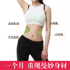 南京同仁堂綠金家園艾草貼 纖姿貼 輕姿貼美腰貼 艾腰貼廠家批發