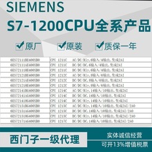6ES7313-6CG04-0AB0T/SIMATIC S7-300 CPU̎PLChr