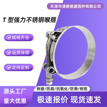 T型强力不锈钢喉箍卡箍抱箍强力水管管箍紧箍加强型铁镀锌卡扣