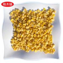 FD��������