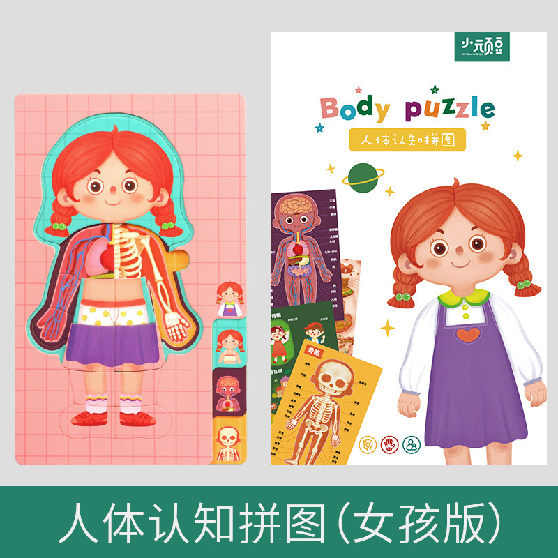 Ilustración científica de los niños estructura del cuerpo humano rompecabezas órgano anatomía hueso cognición educación temprana cuerpo vísceras rompecabezas juguete