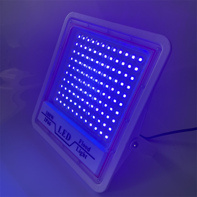 O1CN01uRMHnM1gk1vkYfKSX_!!3906024179-0-cib.jpg?__r__=1660983745477