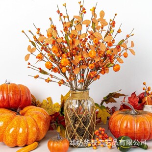 �羳�����＾�{����֦ �＾�{��������ҼҾ��b��＾�b���ɫ
