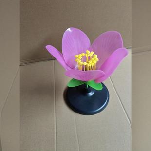 Supply Peach Blossom Model 33007 Junior High School Biology Teaching Instrument Manufacturers