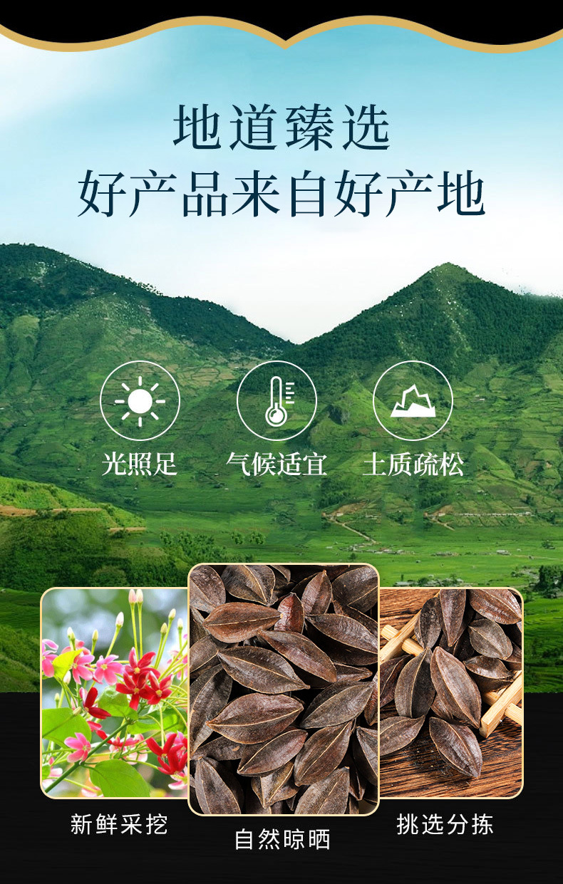 Shi Jun Zi (Quisqualis indica) — Dried Rangoon Creeper Fruit for TCM Decoction & Powder overview