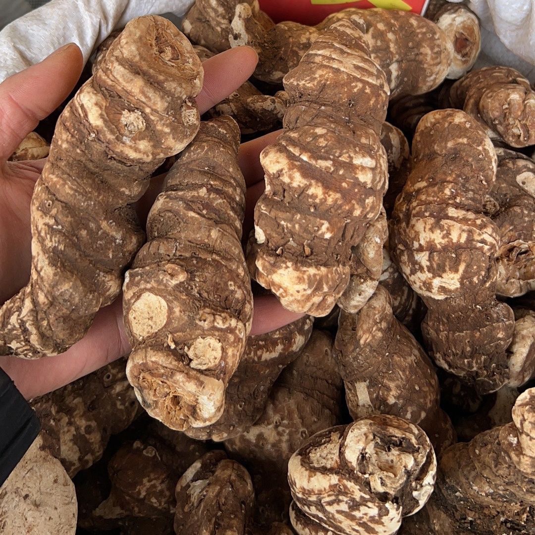 Dried Chonglou Rhizome Paris Polyphylla Yunnan Wild-Grown TCM Herb 1000g overview