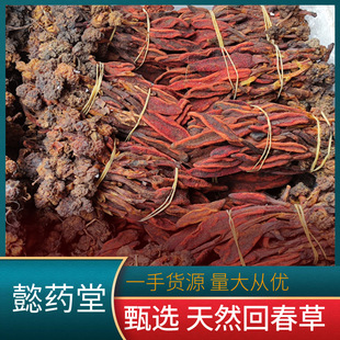 �a��ֱ���ش�����ϸ�ԭ���ϲݲ�ɐ���������؛���l�F؛�����