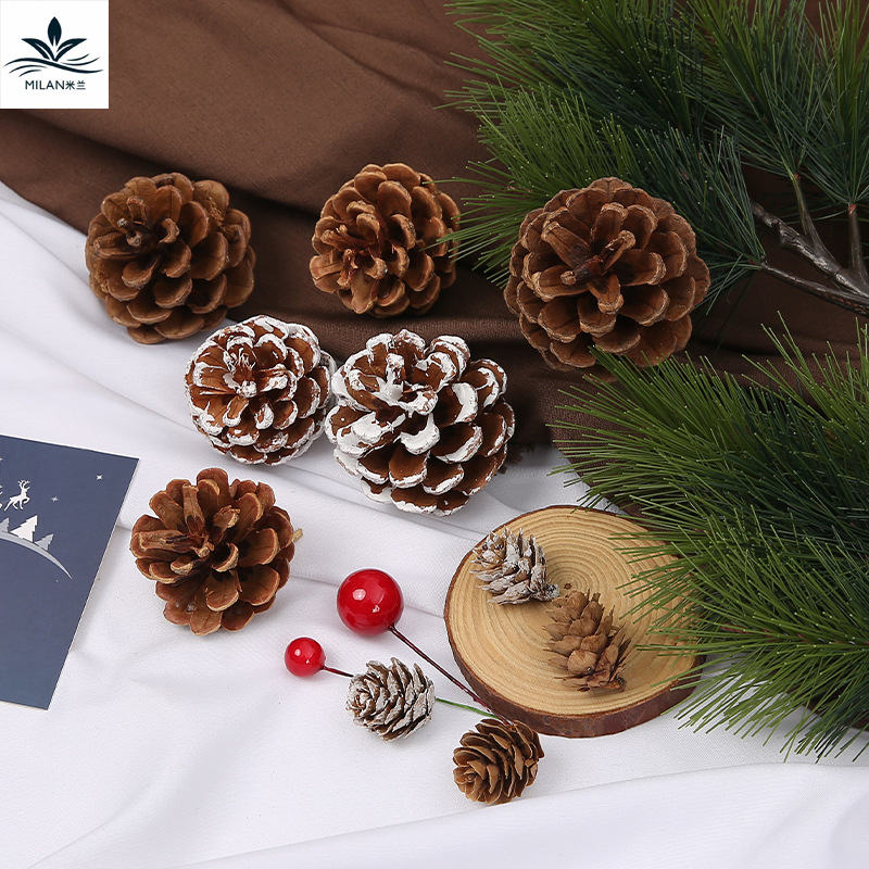Milan natural flor seca cono de pino de Navidad árbol de Navidad material de decoración bricolaje paquete flor eterna ramo de algodón embalaje