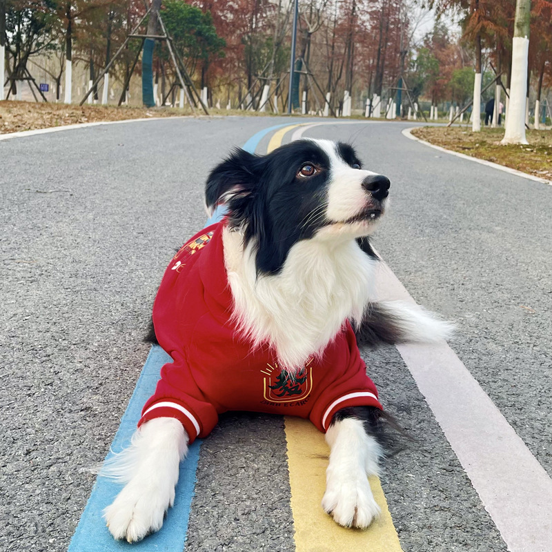 큰 개 새해 옷 가을과 겨울 기모 두꺼운 황금 리트리버 빨간 옷 래브라도 드 뮤 미디어와 큰 개 없음