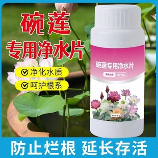 Bowl lotus water purification tablets water lily lotus purification water pool deodorization to remove impurities clear hydroponic plants general manufacturers