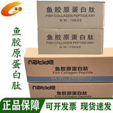 鱼胶原蛋白粉 现货批发鳕鱼小分子易吸收鱼胶原蛋白肽  固体饮料