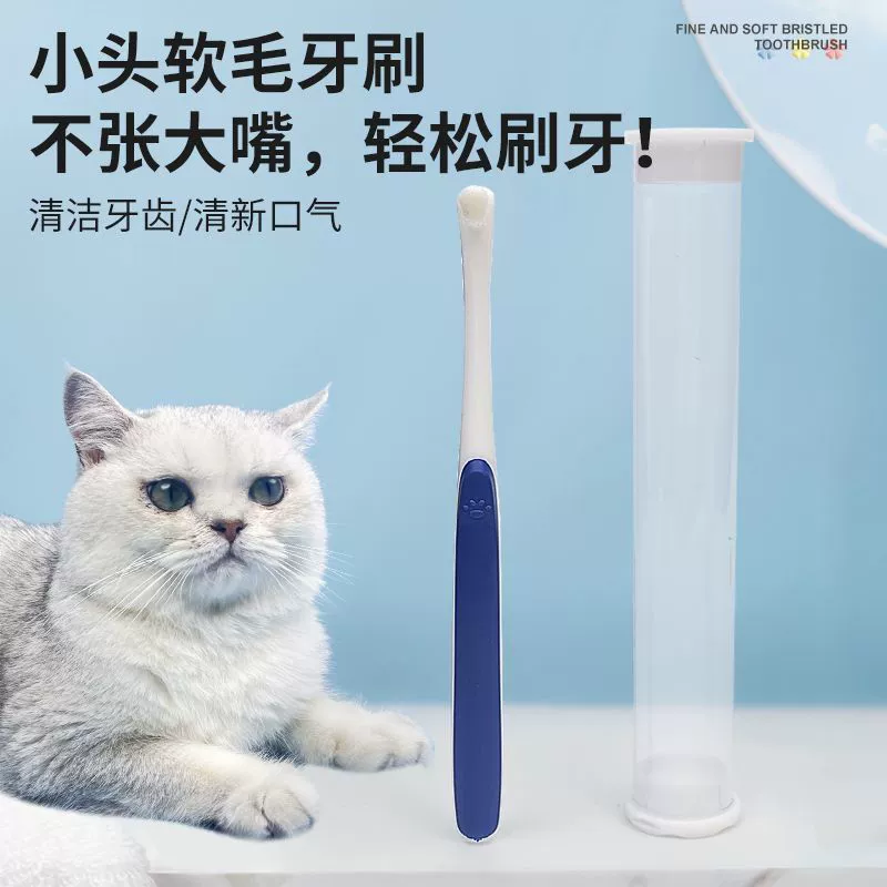 Кошка домашнее животное маленькая голова мягкая собака щетка кошачий уход за полостью рта очищает зубы