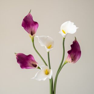 Big calla lilies, decorative flowers, wedding flowers, home decor