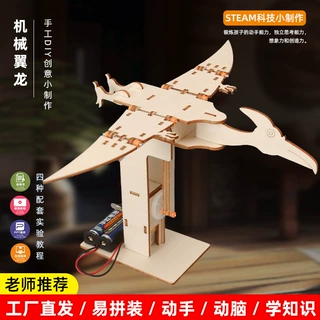手工科技小制作创意DIY拼装仿真动物机械翼龙连杆传动儿童教具