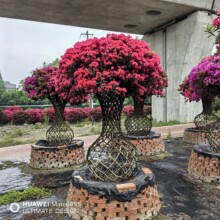 ���Ͷ��N��ƿ ��ˇ���ش�����J�e��ͥԺ�ߙn��ͥԺ��