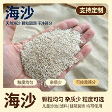 源头厂家海沙儿童娱乐人造沙滩质感细沙水族造景鱼缸底沙