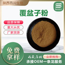 覆盆子粉覆盆子酮生粉果粉食品原料厂家现货包邮支持拿样量大从优