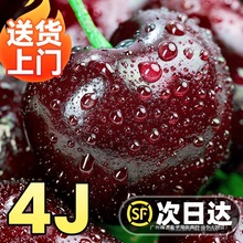 美国车厘子新鲜水果当季整箱包邮2/3/5斤孕妇礼盒进口大樱桃j3j4j