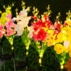 5 Fork Phalaenopsis (five colors of red, green, yellow, pink and white order notes)