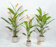 ���S���������B�辰 ���쎧���Q���m �Gֲ��O���B�� �|ݸ�G��