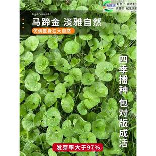 �²��R���ݷN���Ӳ�ƺ�N�Ӳ��ѾG�������R�����X���~�X�ݷN��