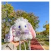 Purple rabbit, Lolita style, color